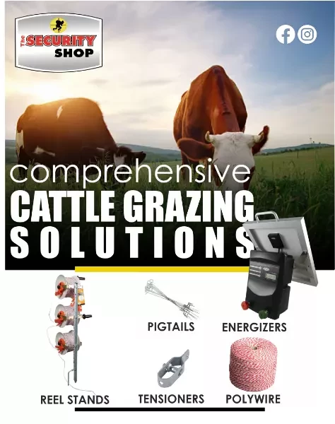 Comprehensive Cattle Grazing Solutions